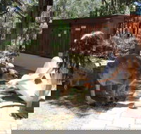 Yelverton Brook Eco Spa Retreat and Conservation Sanctuary - Accommodation Fremantle