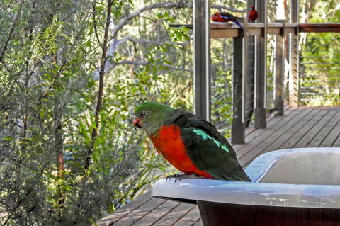Araluen Park Cottages - Accommodation Fremantle 2