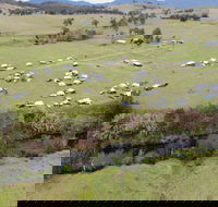 Camp on Allyn - Accommodation Fremantle