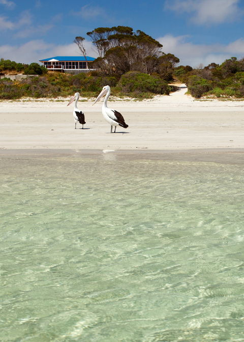 Kangaroo Island Star Beach House - Accommodation Fremantle 1
