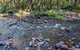 Toorooroo Campground - thumb 0