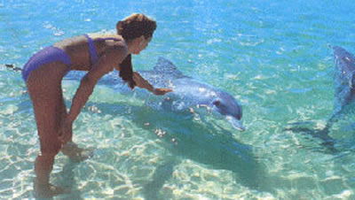 Heritage Resort Shark Bay - Accommodation Fremantle 1