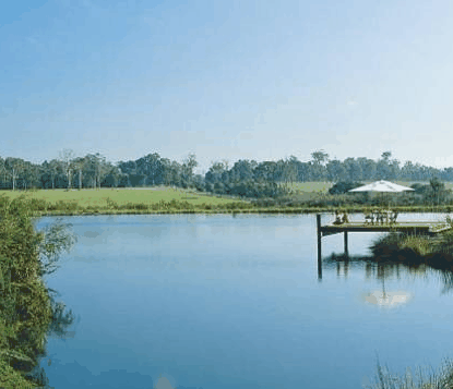 Forest Rise Eco Retreat - Accommodation Fremantle