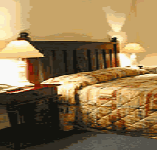 Comfort Inn Treetop Walk - Accommodation Fremantle