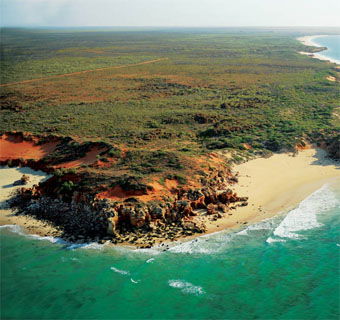 Eco Beach Wilderness Retreat - Accommodation Fremantle 2