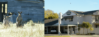 Acacia Motor Inn - Accommodation Fremantle 5