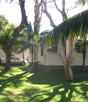 Arrawarra Beach Holiday Park - Accommodation Fremantle 1