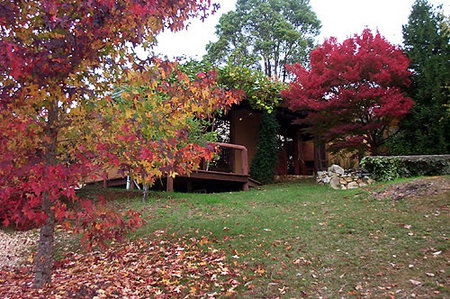 Eucalyptus House - Accommodation Fremantle 0