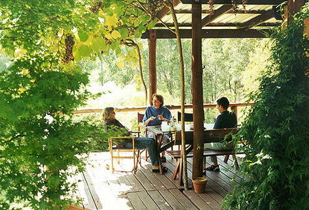 Eucalyptus House - Accommodation Fremantle 2