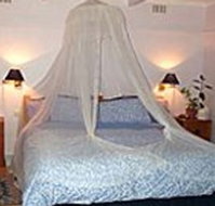 Bondi Beach Garden Sweet - Accommodation Fremantle