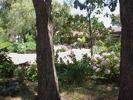 Peaceful Bay Bed And Breakfast - Accommodation Fremantle 0