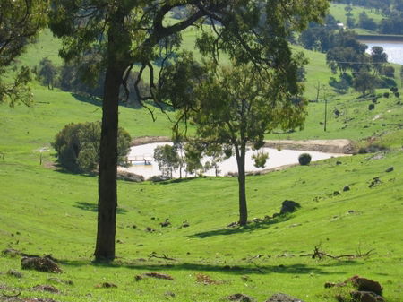 Vista Ridge Estate - Top Paddock Cottage - Accommodation Fremantle 3