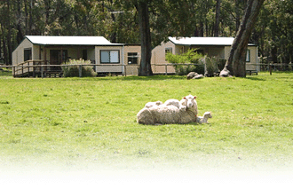 Cambray Cottages - Accommodation Fremantle 1