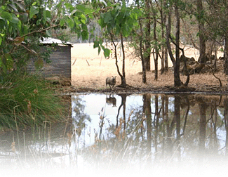 Cambray Cottages - Accommodation Fremantle 3