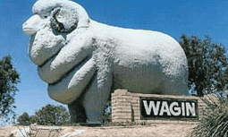 Wagin Motel - Accommodation Fremantle 0