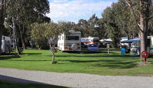 Pinjarra Caravan Park - Accommodation Fremantle 0