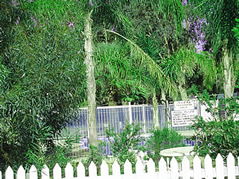 Pinjarra Caravan Park - Accommodation Fremantle 3