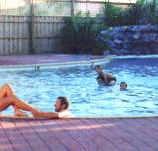 Shark Bay Caravan Park - Accommodation Fremantle