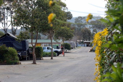 Albury All Seasons Tourist Park - Accommodation Fremantle 0