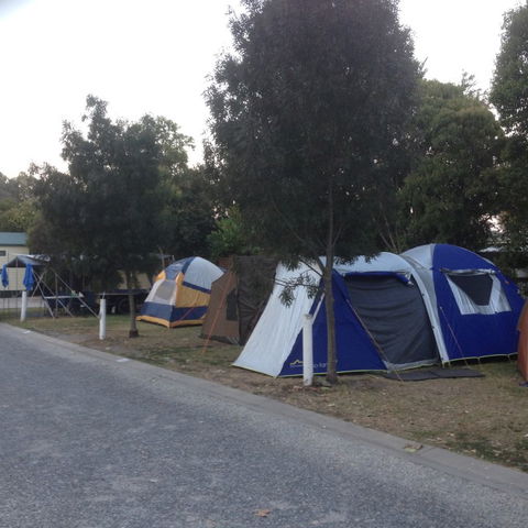 Albury All Seasons Tourist Park - Accommodation Fremantle 9
