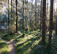 Deua River campgrounds - Accommodation Fremantle