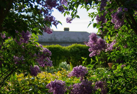 Eurambeen Historic Homestead And Gardens - Accommodation Fremantle 1