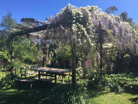 Hawthorne Cottage: Blackheath - Accommodation Fremantle 2