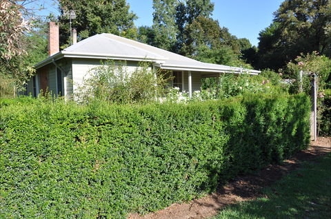 Honeysuckle Cottage - Accommodation Fremantle 1