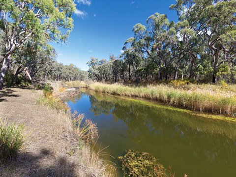 Kings Plains Creek Campground - Accommodation Fremantle 1