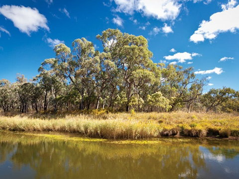 Kings Plains Creek Campground - Accommodation Fremantle 2