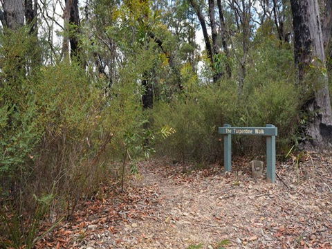 Murphys Glen Campground - Accommodation Fremantle 2