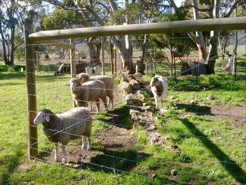 Nyroca Campsite & Group Accommodation - Accommodation Fremantle 2
