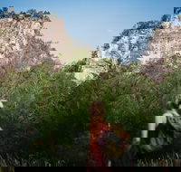 Sandstone Park Carnarvon Gorge - Accommodation Fremantle