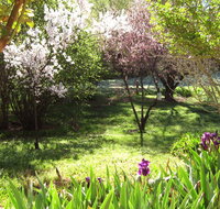 Sofala Cottage - Accommodation Fremantle