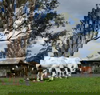 Woodenbong B and B - Accommodation Fremantle