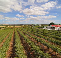1837 Barossa Luxury Vineyard Cottages - Accommodation Fremantle