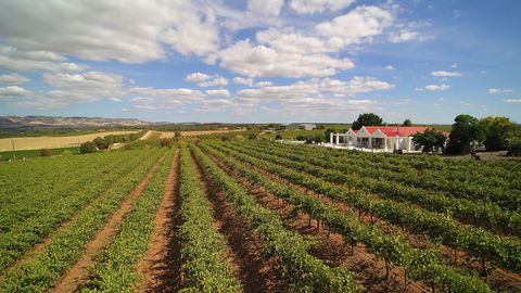 1837 Barossa Luxury Vineyard Cottages - Accommodation Fremantle 0