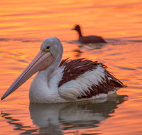 4 Pelican Court - River Shack Rentals - Accommodation Fremantle
