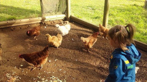 Emerald Park Holiday Farm - Accommodation Fremantle 2