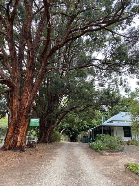 Fernleigh Accommodation - Accommodation Fremantle 0