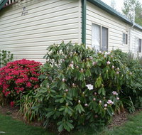Jenolan Caravan Park - Accommodation Fremantle