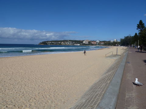 Manly Seaside Cottage - Accommodation Fremantle 0