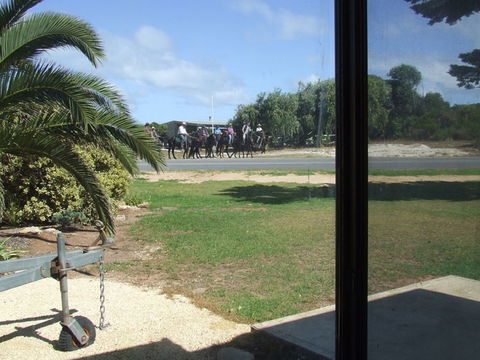 Seahorse Beach Shack - Accommodation Fremantle 1