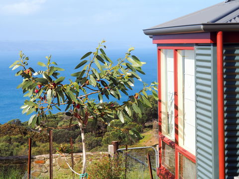 The Grass Tree Coastal Retreat Kangaroo Island - Accommodation Fremantle 1