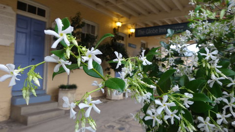 The Globe Inn - Accommodation Fremantle 1