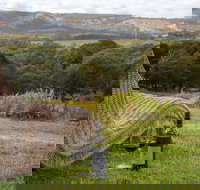 131 - Heart of the Vale - Accommodation Fremantle