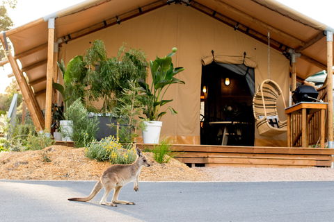 BIG4 Anglesea Holiday Park - Accommodation Fremantle 2