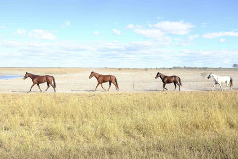 Charlotte Plains - Accommodation Fremantle 2