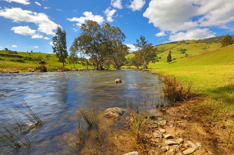 Elm Cottage Tumut - Accommodation Fremantle 0