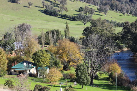 Elm Cottage Tumut - Accommodation Fremantle 1